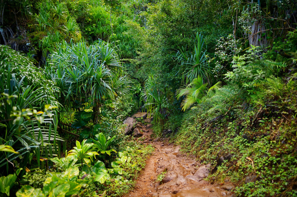 Kalalau trail trekking