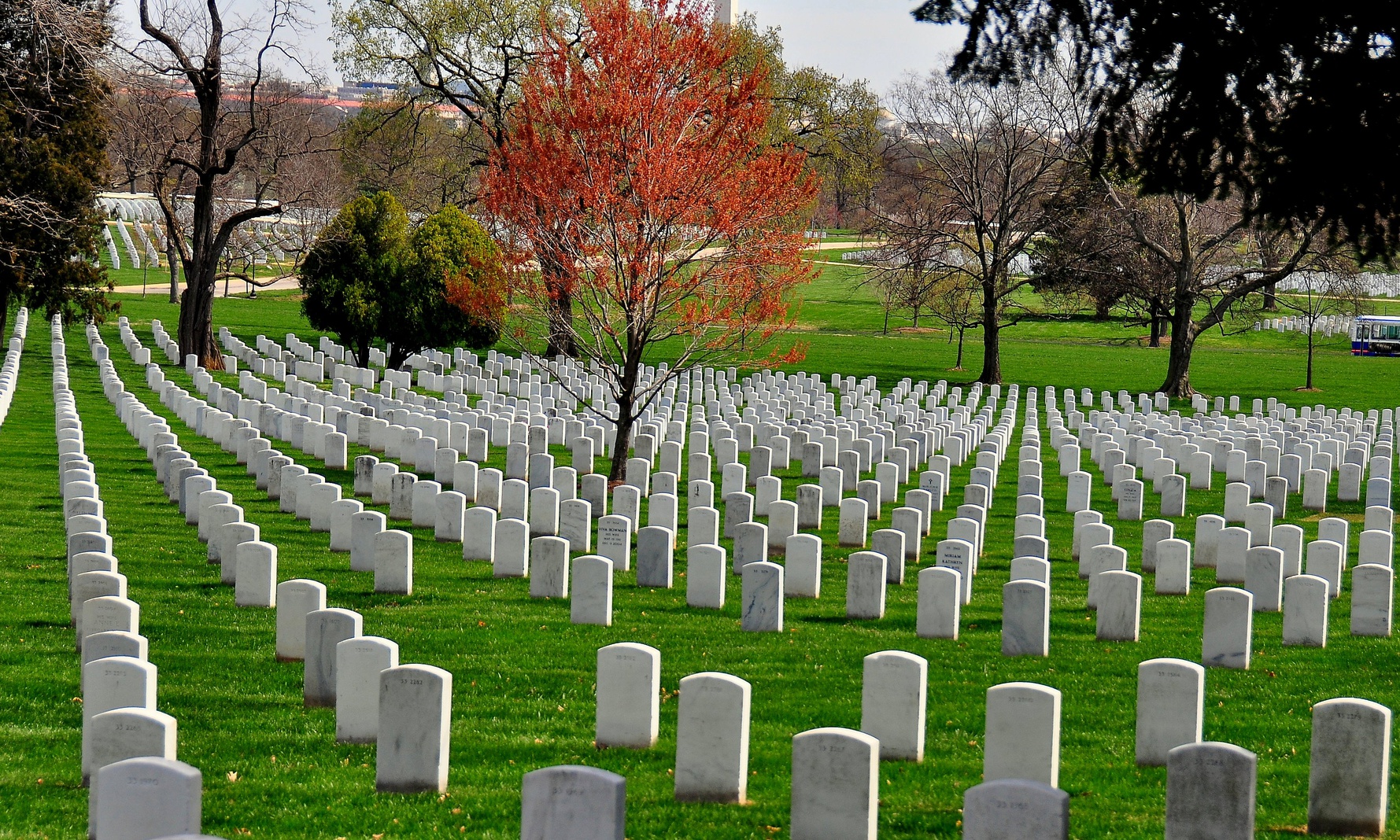 Arlington cmentarz