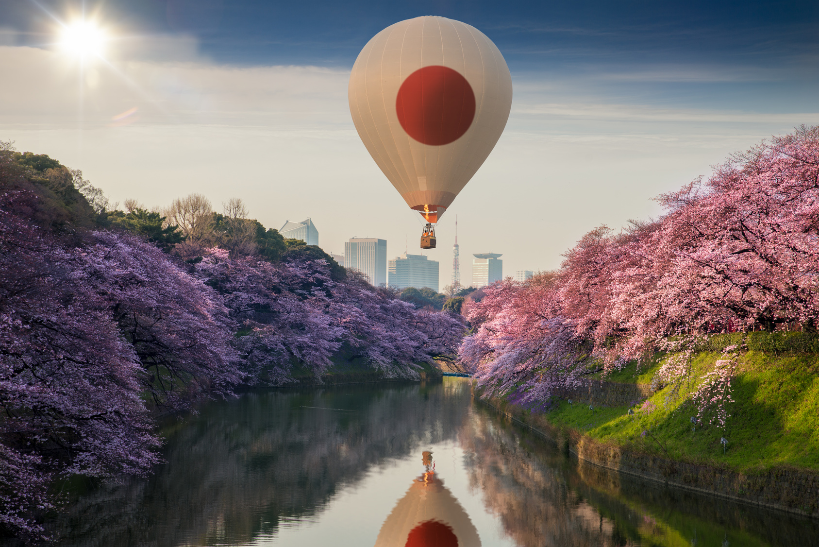 Japonia kwitnące wiśnie