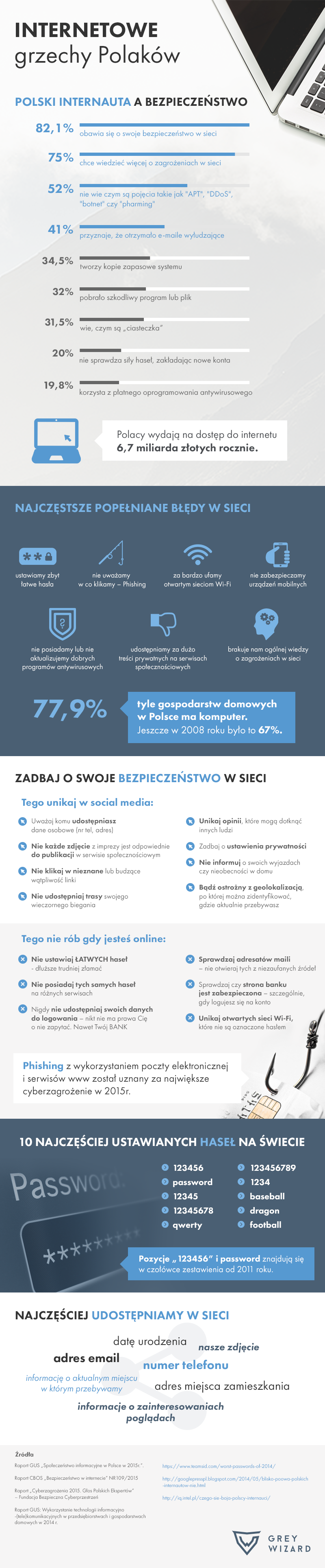 infografika_internetowe_grzechy_polakow