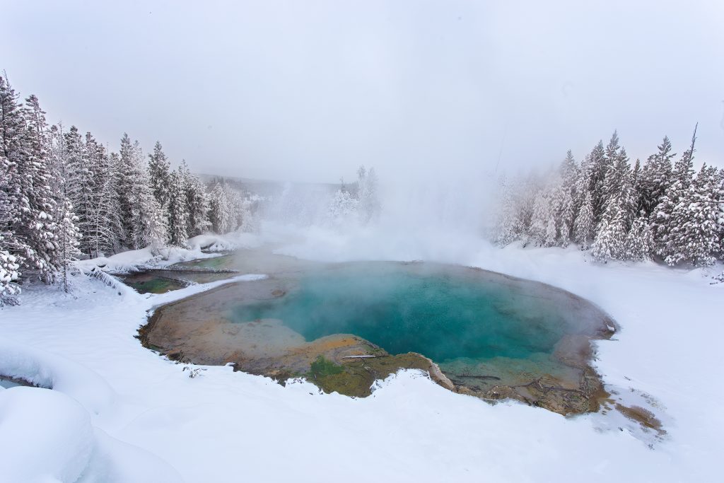 Norris Geyser Basin