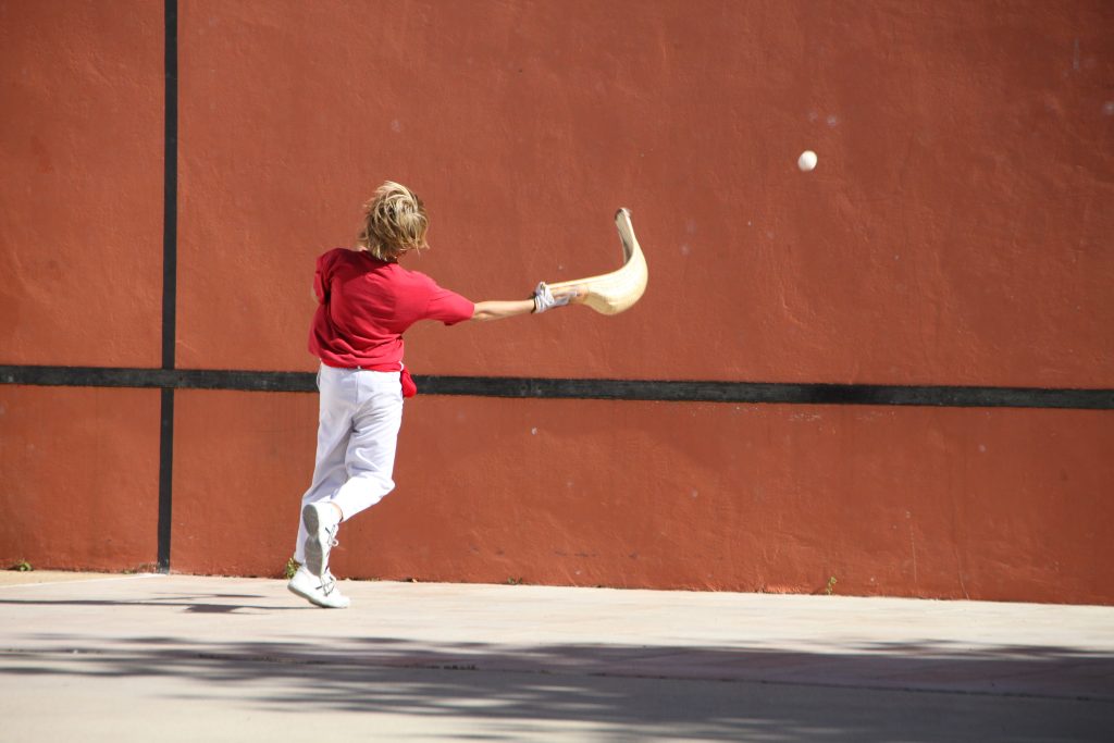 pelota