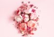 różowa aranżacja z wiosennych kwiatów na różowym tle