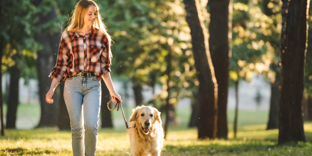 spacer z psem na smyczy