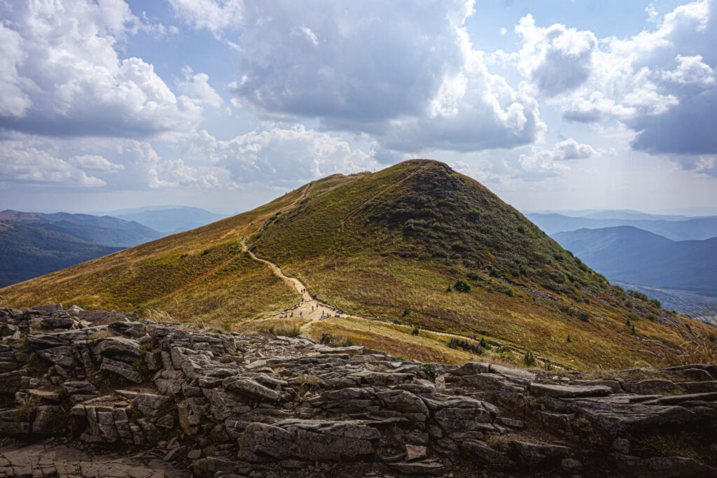 Tarnica | Bieszczady, Polska