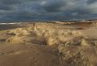 Wyspa Sobieszewska, Polska - wydmy nad morzem w słońcu przed burzą