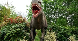 dinozaur park dinozaurów