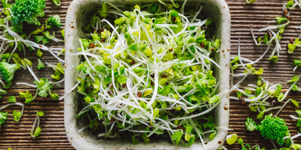 zdrowotne właściwości kiełków