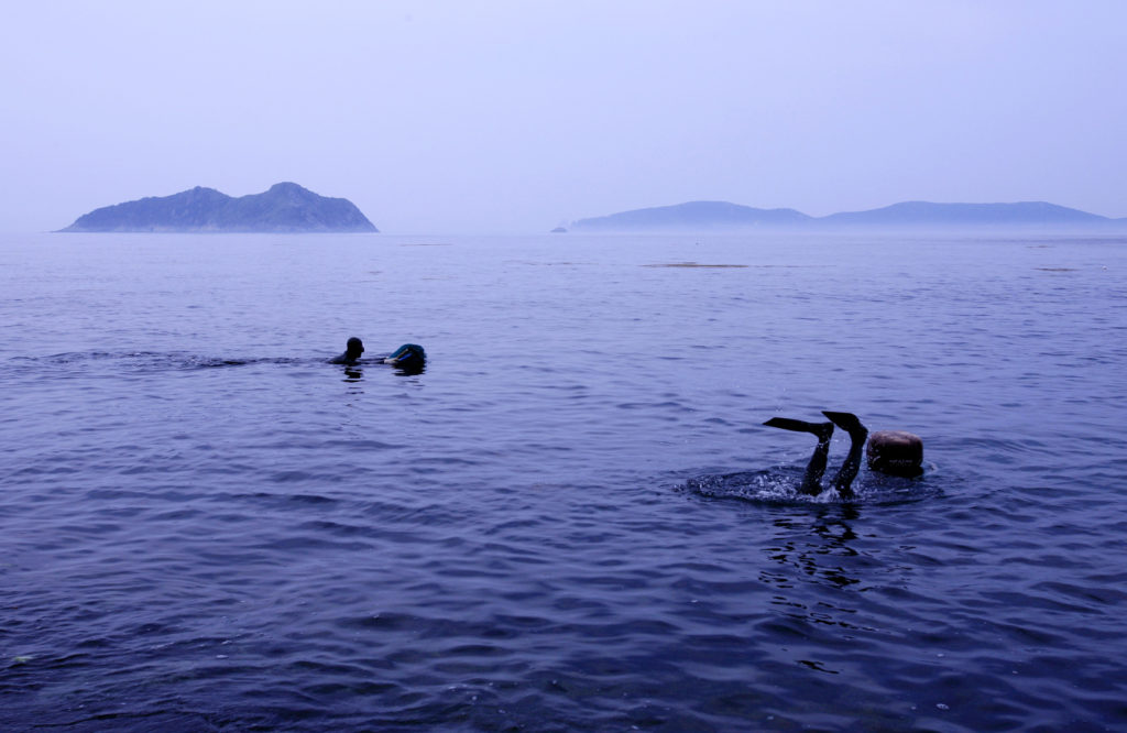 koreańskie kobiety łowią owoce morza 
