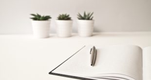 Notes i długopis na białym biurku z kaktusami
