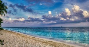 plaża Malediwy