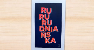 RuRu, Joanna Rudniańska Z Ilustracjami Mateusza Kaniewskiego, Wydawnictwo Nisza, Warszawa 2019