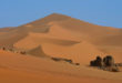 Wydma na Saharze w Algierii