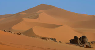 Wydma na Saharze w Algierii