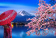 Japonia - kobieta w tradycyjnym kimonie na tle góry Fuji obok kwitnącej wiśni