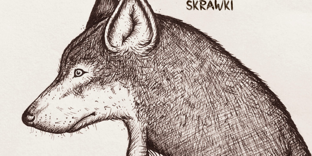 Mike Skowron Skrawki