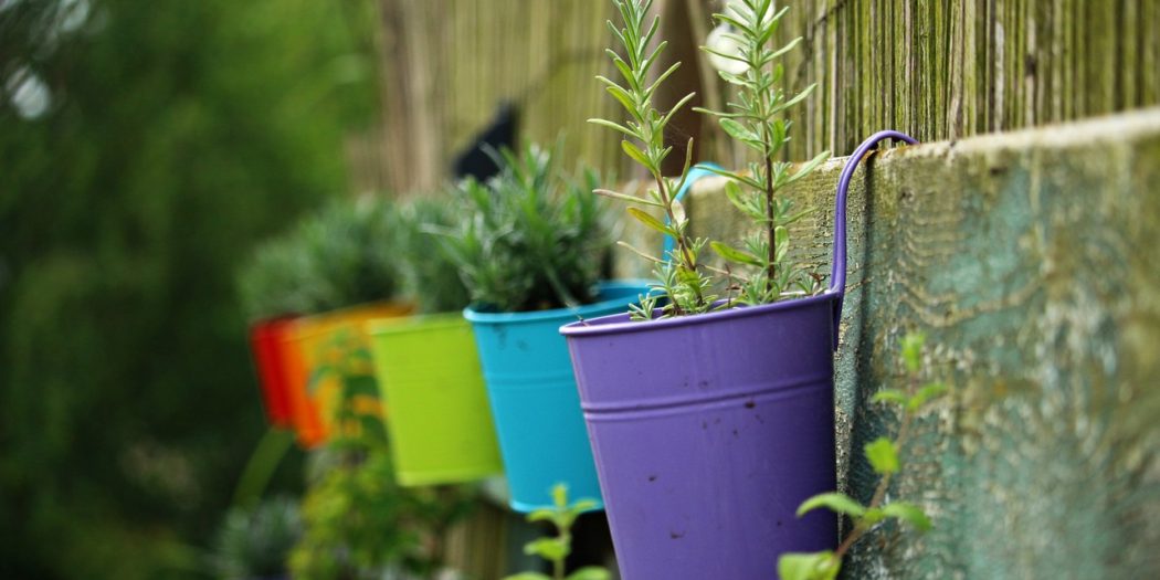 kolorowe doniczki na kwiaty