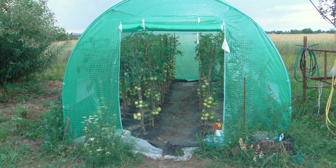 Tunel foliowy ogrodniczy z wzmocnioną folią