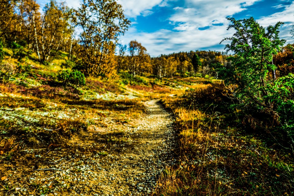 Kevo Trail Finlandia