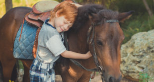 Koń dla dziecka