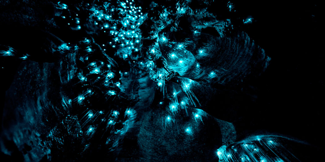 Nowa Zealand świecące robaki w jaskini Waipu Cave