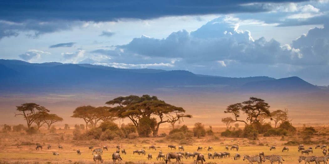 afrykańska sawanna Kenia