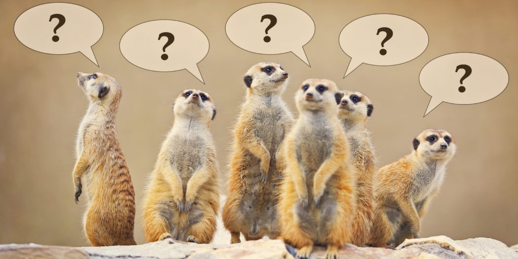 najdziwniejsze muzea na świecie