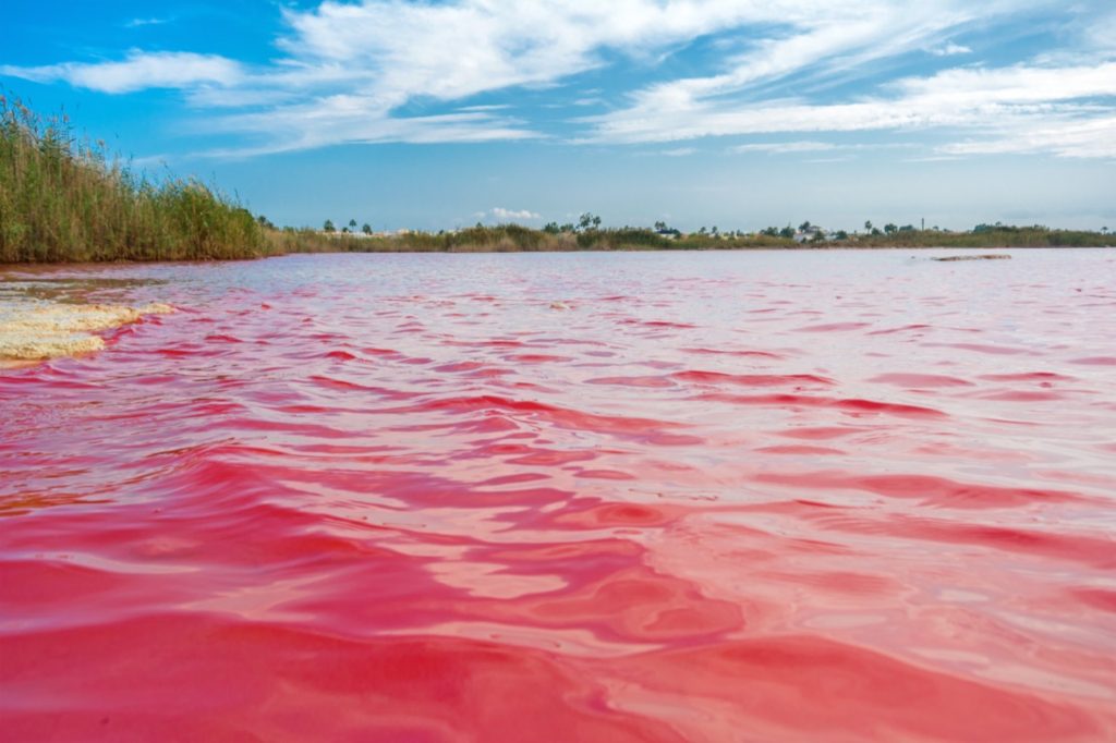 Różowe jezioro w Hiszpanii