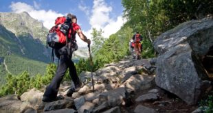Nordic walking w górach