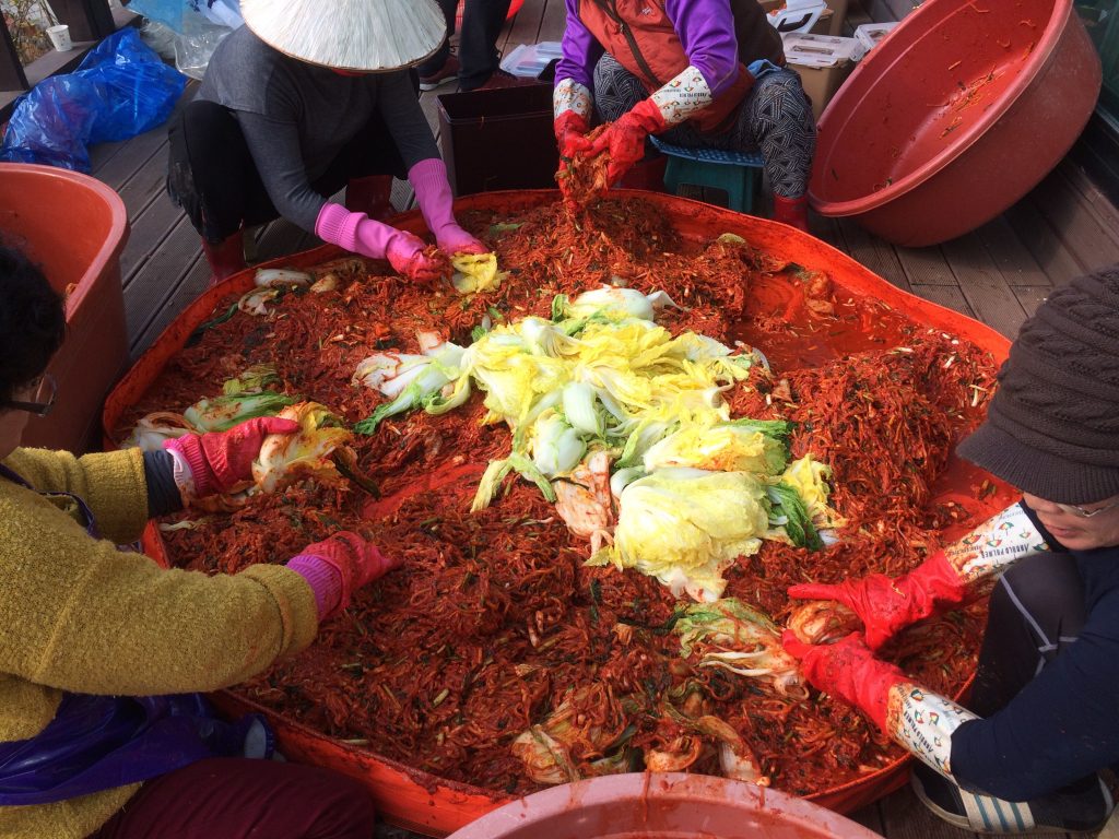 kimjang kimchi na zimę