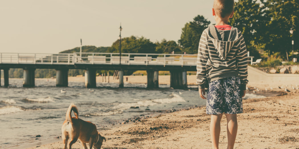 Zwierzę ze schroniska