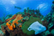 zanieczyszczenie oceanu plastikiem