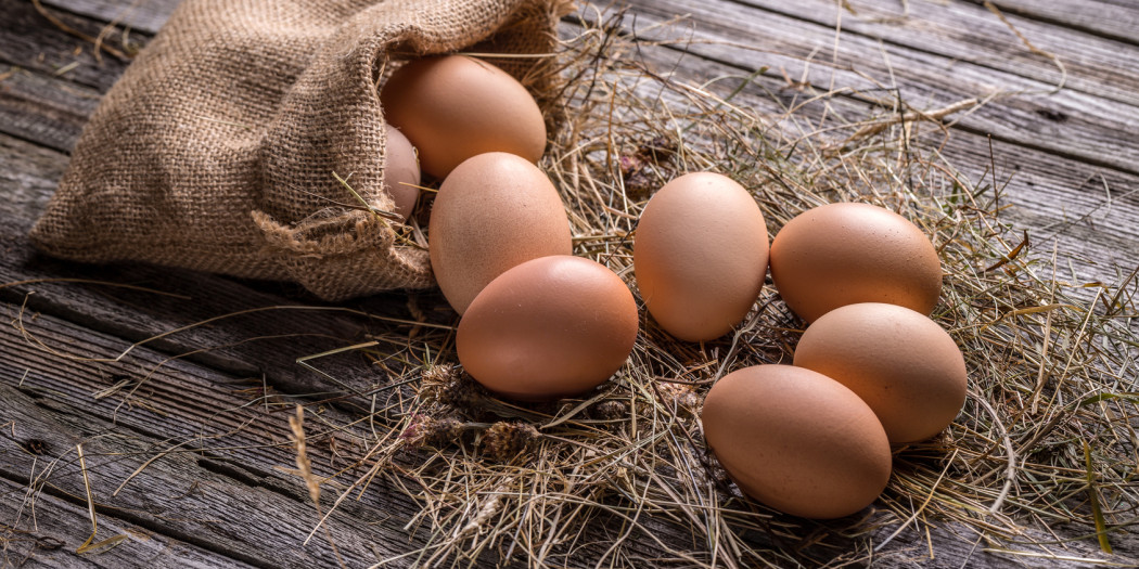 Jajka fakty i mity