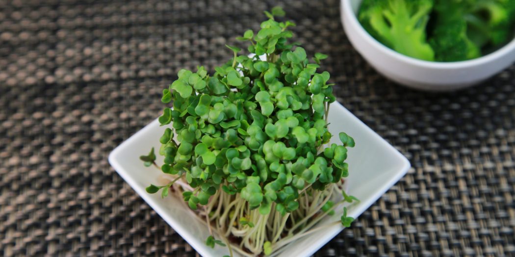 Brokuły dla chorych na autyzm